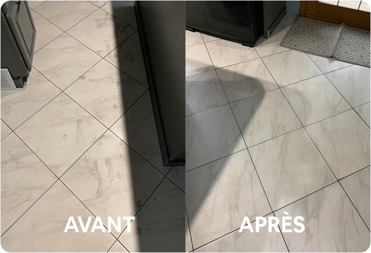 Nettoyage de taches de pattes de chien sur carrelage avec le Tineco iFloor 3